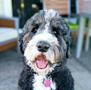 Fundraising Page: Cassie Justice